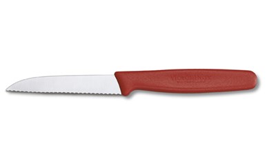 Gemüsemesser in SB Plastikhülle