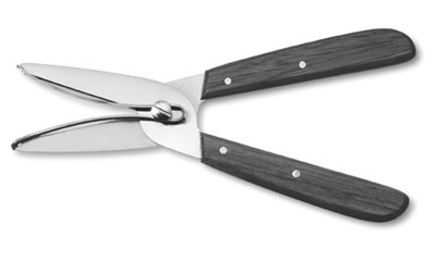 Rosen- und Trauben- Pflückschere